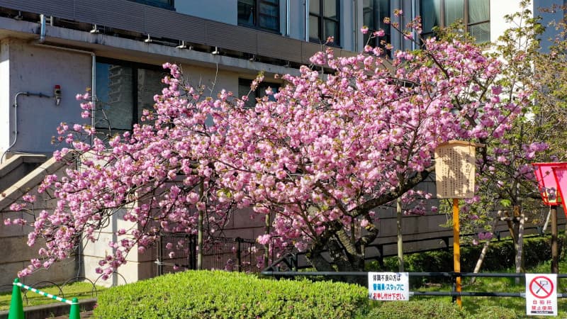 パノラマ写真|バーチャルツアー|アットマイン・アイキャッチ